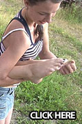 Sweet Amira Kitzelattacke Sweet Amira